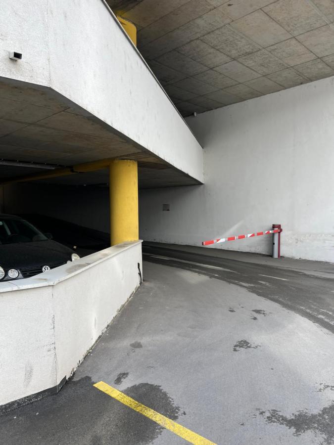 Apartman Didi2- Free Private Parking-Garage Νόβι Σαντ Εξωτερικό φωτογραφία